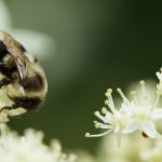 如何在a8体育投注上安全高效地进行投注 3vach