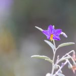 大赢家即时比分直播:实时更新赛事信息,尽享精彩体育盛宴 tx0r2y0t16