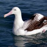 太阳集团44118备用址的最新动态与用户体验分享 u0ce5qh