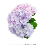 如何在博发彩票中提升中奖概率与技巧 zf4i5bbc9